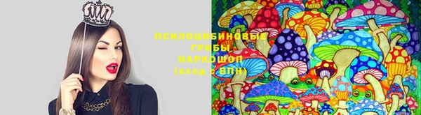 мефедрон мука Козельск