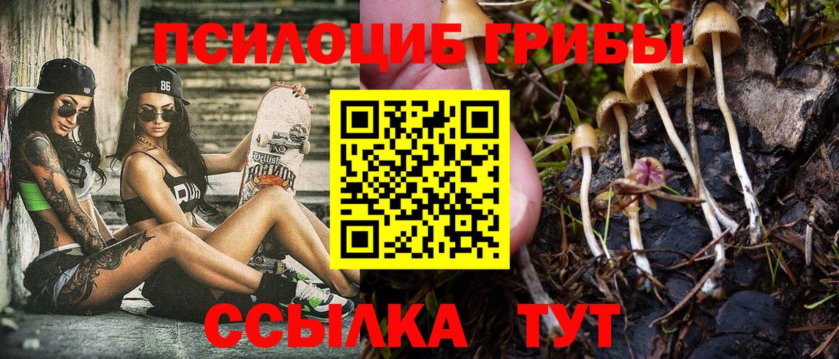 Псилоцибиновые грибы Psilocybe Волжский