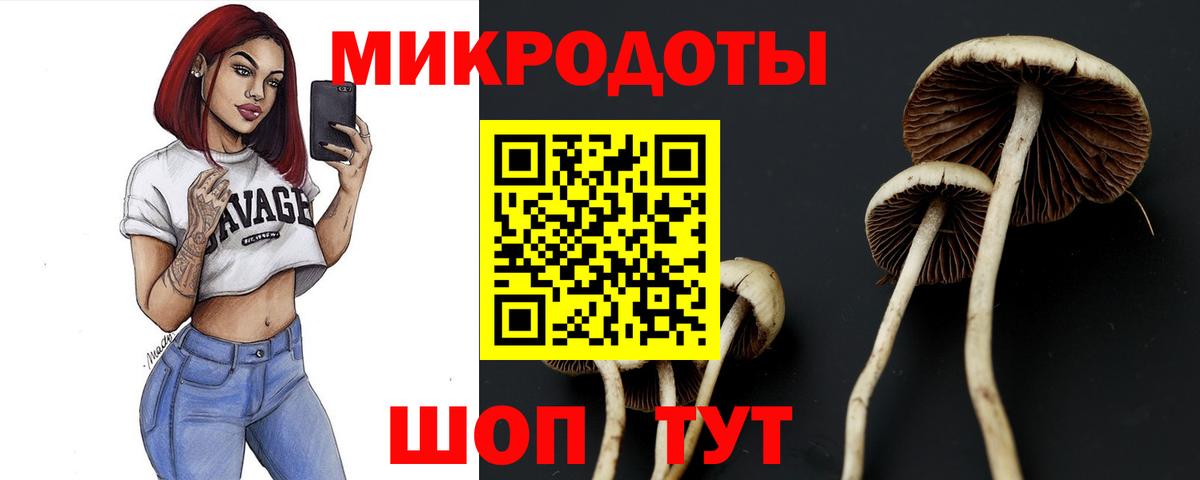 Галлюциногенные грибы мицелий  Вход с VPN  Псилоцибиновые грибы Magic Shrooms  Волжский 